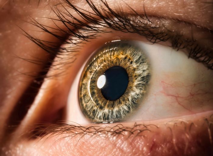 Scharfe Sicht: Die neuen 'EDOF-Linsen' sorgen für Durchblick mit noch mehr Tiefenschärfe